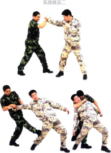 圖片19