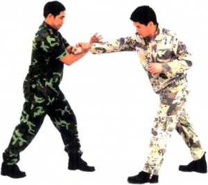 圖片22
