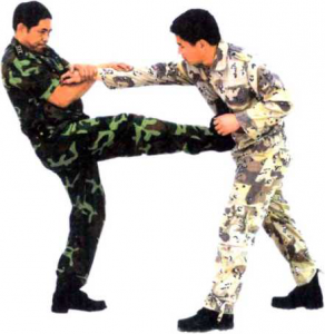圖片23