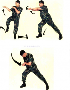 圖片56