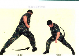 圖片53