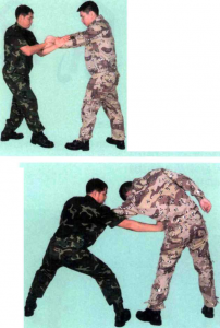 圖片79