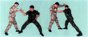 圖片7