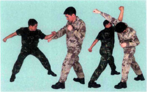 圖片13