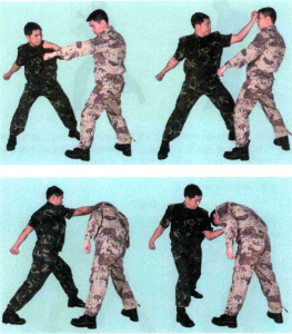 圖片17