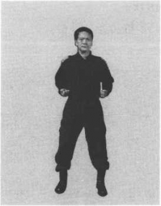 圖片1