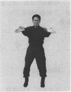 圖片7