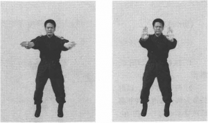 圖片8