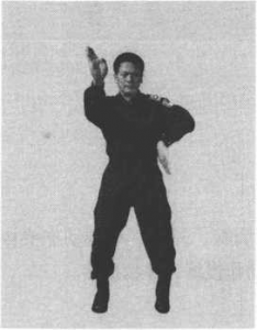 圖片17