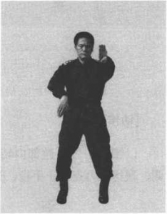 圖片18