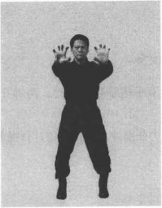 圖片22