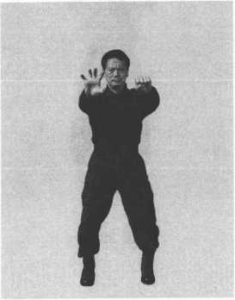 圖片23