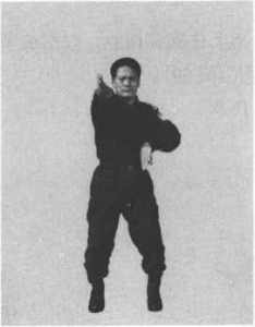 圖片38