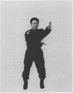 圖片41