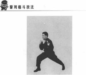 圖片9