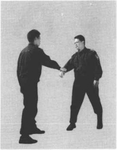 圖片40