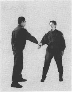 圖片52