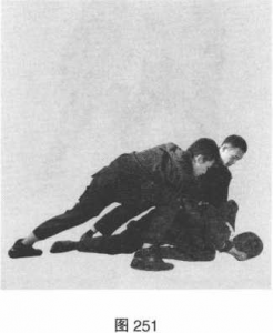 圖片117