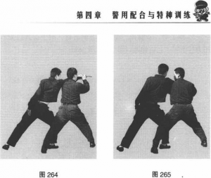 圖片126