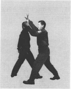 圖片135