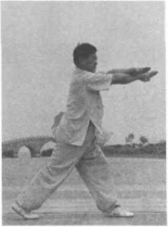 圖片97