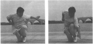 圖片108