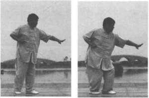 圖片153