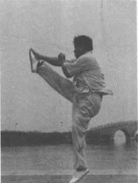 圖片31