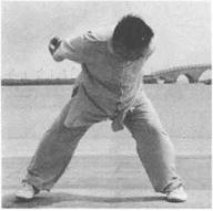 圖片86