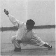 圖片17