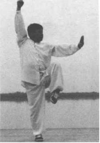 圖片33