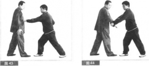 圖片24