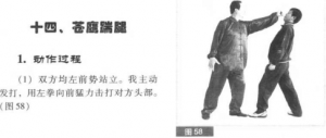圖片32