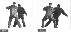 圖片14