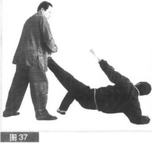 圖片21