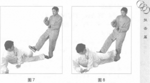 圖片5