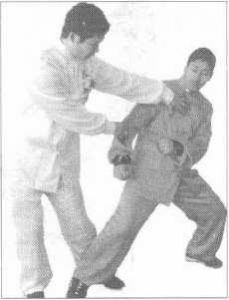 圖片8