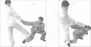 圖片10