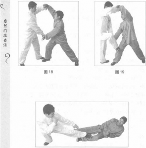 圖片12