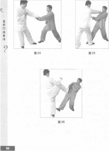 圖片14