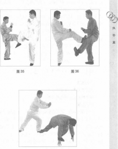 圖片21