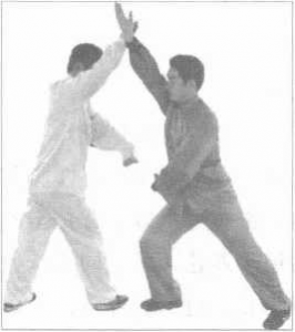 圖片25