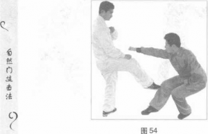 圖片32