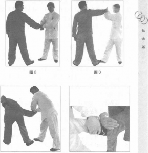 圖片35