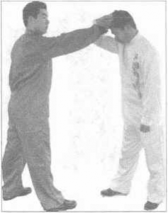 圖片39