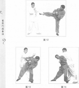 圖片65