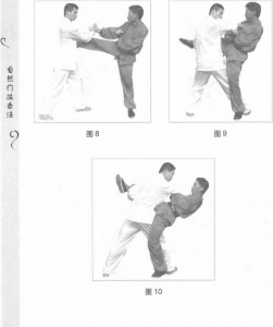 圖片100