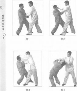 圖片101
