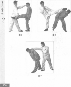 圖片107