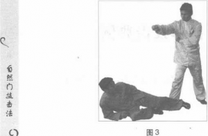 圖片111